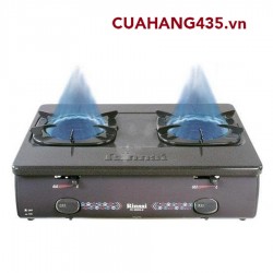 RINNAI RV - 5600 G-i