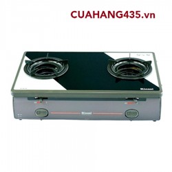 RINNAI RV - 5700 SCH (BW)