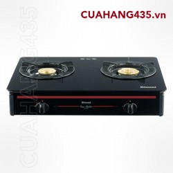 RINNAI RV - 960 (GLR)