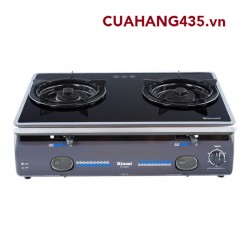 RINNAI RV - 4600 (GL)