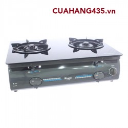 RINNAI RV - 4600 (GL-T)N