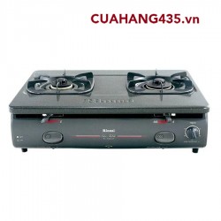 RINNAI RV - 4600 (GT)