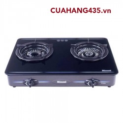 RINNAI RV - 6Slim (GL)