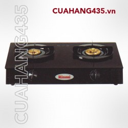 RINNAI RV - 6 Double Glass (B)